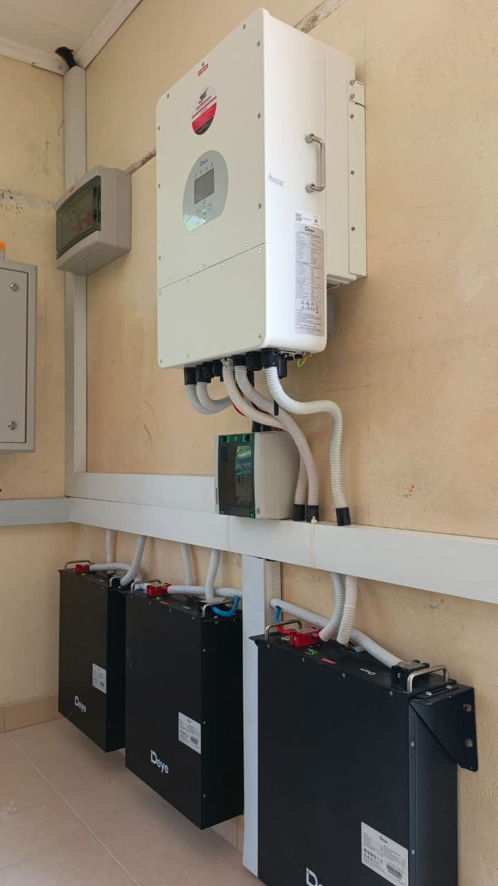 Whispers and Swallows Project - Image 7